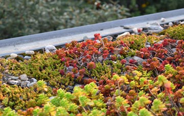 the cost of Stanford green roof installation