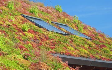 Stanford living roof systems