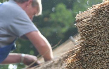 professional Stanford thatchers